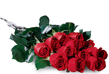 One Dozen Presentation Clear Wrapped  Roses! from Martinsville Florist, flower shop in Martinsville, NJ